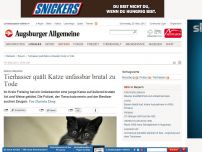 Bild zum Artikel: Kreis Freising: Tierhasser quält Katze unfassbar brutal zu Tode