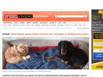 Bild zum Artikel: Urteil: BGH kippt generelles Verbot von Hunden in Mietwohnungen