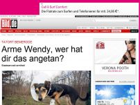 Bild zum Artikel: Tatort Bemerode - Arme Wendy, wer hat dir das angetan?