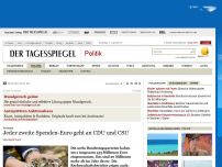 Bild zum Artikel: Jeder zweite Spenden-Euro geht an CDU und CSU