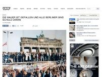 Bild zum Artikel: Die Mauer ist gefallen und alle Berliner sind Schuld daran
