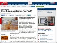 Bild zum Artikel: Test gibt Rätsel auf - Hundefleisch in britischem Fast Food?