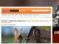 Bild zum Artikel: Kinderarmes Deutschland: Lieber Osterhase, bitte bring uns Rauschmittel