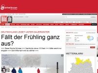 Bild zum Artikel: Deutschland leidet - Fällt der Frühling ganz aus?