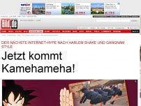 Bild zum Artikel: Neuer Internet-Hype - Jetzt kommt Kamehameha!