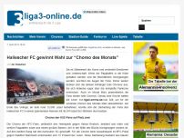 Bild zum Artikel: Hallescher FC gewinnt Wahl zur “Choreo des Monats”