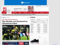 Bild zum Artikel: BVB-Wahnsinn!  -  

Halbfinale! Santana erledigt Malaga in letzter Sekunde