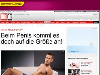 Bild zum Artikel: Neue Studie zeigt - Beim Penis kommt es doch auf die Größe an!