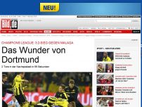 Bild zum Artikel: 3:2 gegen Malaga - Das Wunder von Dortmund