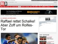 Bild zum Artikel: 2:2 gegen Leverkusen - Raffael rettet Schalke! Aber Zoff um Rolfes-Tor