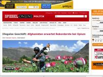Bild zum Artikel: Illegales Geschäft: Afghanistan erwartet Rekordernte bei Opium