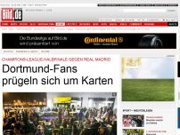 Bild zum Artikel: Tickets fürs Real-Spiel - Dortmund-Fans prügeln sich um Halbfinal-Karten