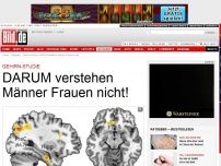 Bild zum Artikel: Gehirn-Studie - DARUM verstehen Männer Frauen nicht!