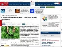 Bild zum Artikel: „Nicht nur beruhigende Wirkung“ - Kriminalbeamte warnen: Cannabis macht aggressiv