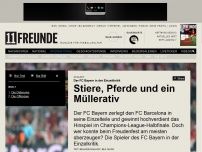 Bild zum Artikel: Der FC Bayern in der Einzeltkritik