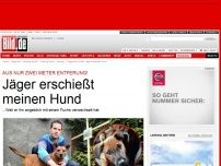 Bild zum Artikel: Mit Fuchs verwechselt - Jäger erschießt meinen Hund