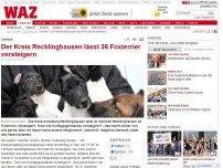 Bild zum Artikel: Tierheim Recklinghausen versteigert 36 Foxterrier