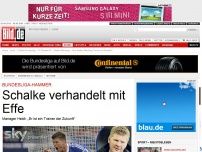 Bild zum Artikel: „Trainer der Zukunft“ - Schalke verhandelt mit Effenberg!