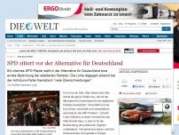 Bild zum Artikel: Anti-Euro-Partei: SPD zittert vor der Alternative für Deutschland