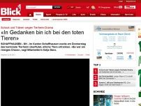 Bild zum Artikel: Tierheim in Schaffhausen überflutet: Zwei Personen verletzt, viele Tiere tot