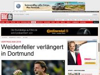 Bild zum Artikel: Vertrag bis 2016 - Weidenfeller verlängert in Dortmund