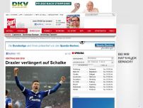 Bild zum Artikel: Vertrag bis 2018  -  

Draxler verlängert auf Schalke