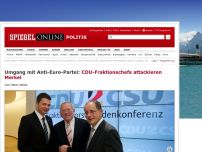 Bild zum Artikel: Umgang mit Anti-Euro-Partei: CDU-Fraktionschefs attackieren Merkel