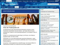 Bild zum Artikel: Bundestagswahlkampf: Was die Piratenpartei will