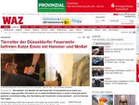 Bild zum Artikel: Tierretter der Düsseldorfer Feuerwehr befreien Katze Emmi mit Hammer und Meißel