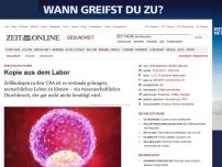 Bild zum Artikel: Menschliches Klonen: 
			  Kopie aus dem Labor