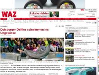 Bild zum Artikel: Duisburger Delfine schwimmen ins Ungewisse