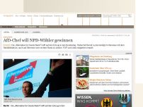 Bild zum Artikel: Wahlkampf: AfD-Chef will NPD-Wähler gewinnen