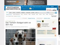 Bild zum Artikel: In Botnang fehlt das Geld: Das Tierheim Stuttgart steht vor dem Aus
