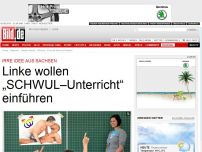 Bild zum Artikel: Irre Idee aus Sachsen - Linke wollen „SCHWUL– Unterricht“ einführen