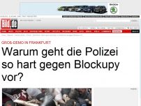 Bild zum Artikel: Blockupy-Demo in Frankfurt - Warum geht die Polizei so hart vor?