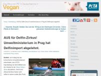 Bild zum Artikel: AUS für Delfin-Zirkus! Umweltministerium in Prag hat Delfinimport abgelehnt.