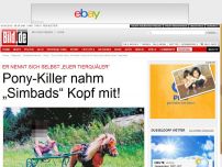 Bild zum Artikel: Irrer Tierhasser - Pony-Killer nahm „Simbads“ Kopf mit!