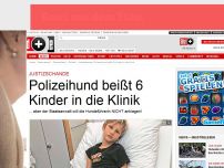 Bild zum Artikel: Keine Anklage! - Polizeihund ​beißt​ 6 Kinder in die Klinik​