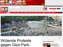 Bild zum Artikel: Protest-Camp - Polizei räumt Gezi-Park in Istanbul