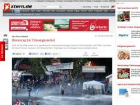 Bild zum Artikel: Gezi-Park in Istanbul: Räumung im Tränengasnebel