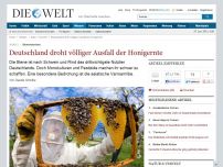 Bild zum Artikel: Bienensterben: Deutschland droht völliger Ausfall der Honigernte