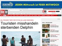 Bild zum Artikel: Für ein paar Mucki-Fotos - Touristen misshandeln sterbenden Delphin