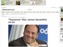 Bild zum Artikel: US-Schauspieler: 'Sopranos'-Star James Gandolfini ist tot