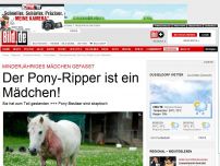 Bild zum Artikel: Tiere geköpft und geschändet - Der Pony-Ripper ist ein Mädchen!