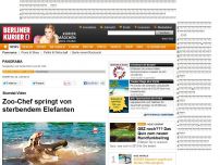 Bild zum Artikel: Skandal-Video - Zoo-Chef springt von sterbendem Elefanten