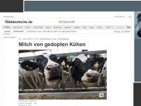 Bild zum Artikel: Antibiotika in der Viehhaltung: Milch von gedopten Kühen