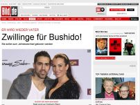 Bild zum Artikel: Er wird wieder Vater - Zwillinge für Bushido und Anna-Maria!