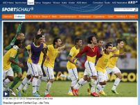 Bild zum Artikel: Brasilien gewinnt Confed Cup - die Tore