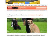 Bild zum Artikel: Testfragen zum Hunde-Führerschein: Lizenz zum Gassigehen