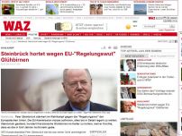 Bild zum Artikel: Steinbrück hortet wegen EU-'Regelungswut' Glühbirnen